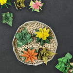 TUESDAY, May 14th - Origami Succulent Garden