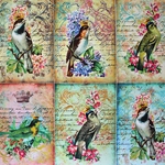 Decoupage Paper - FINCHES