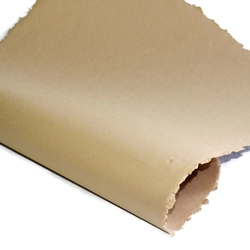 Indian Cotton Paper - Solid - TAN