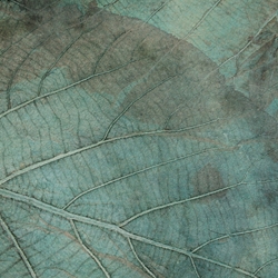Mulberry Paper with Teak Leaves - TEAL