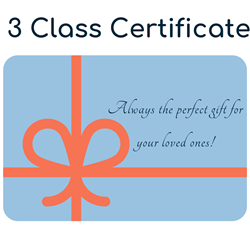 In-person Class Gift Certificate - 3 Classes